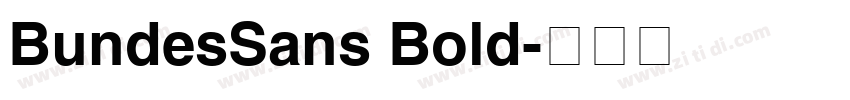 BundesSans Bold字体转换